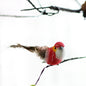 Artificial Birds Home Ornament